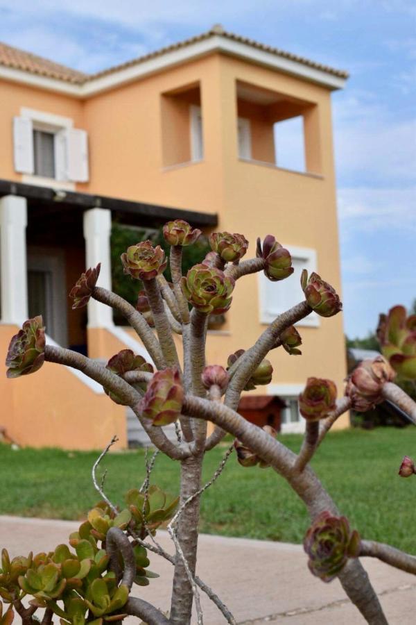 ארקודי Boutique Hotel Ileas Village מראה חיצוני תמונה